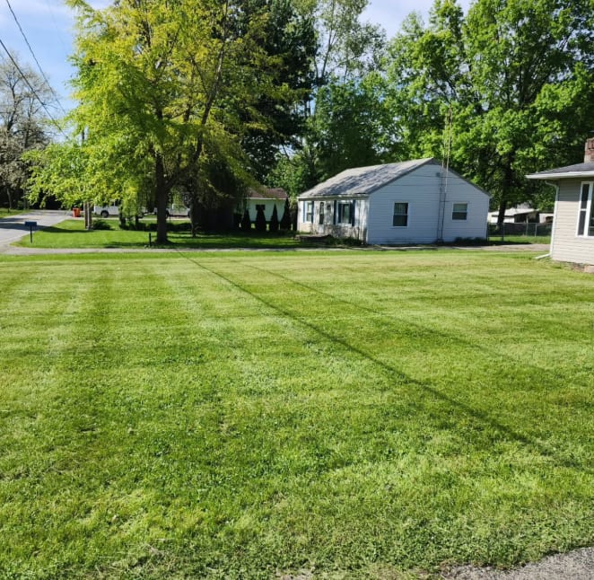 Freshly mowed striped lawn in front of a white ranch house